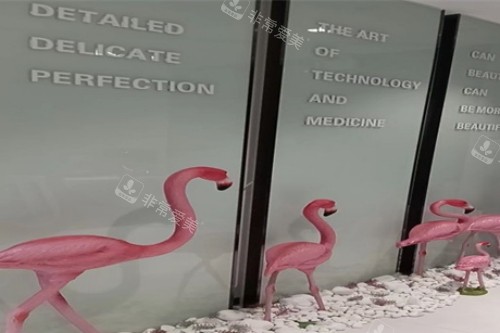 深圳米可医疗美容宣传图