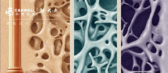 科惠种植牙骨密度检测