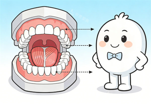 牙齿治疗通用卡通示意图