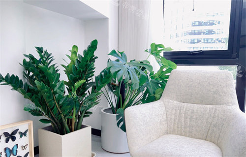 北京颂美医疗美容双井沙发