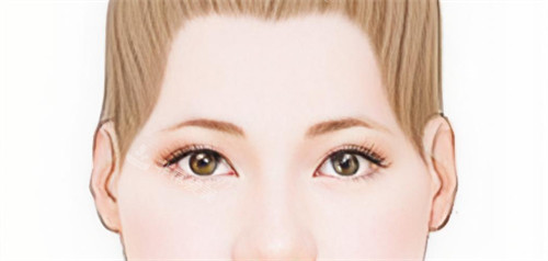 太阳穴的凹陷 太阳穴的凹陷