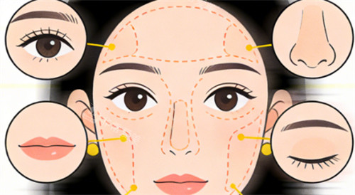 面部可做整形手术