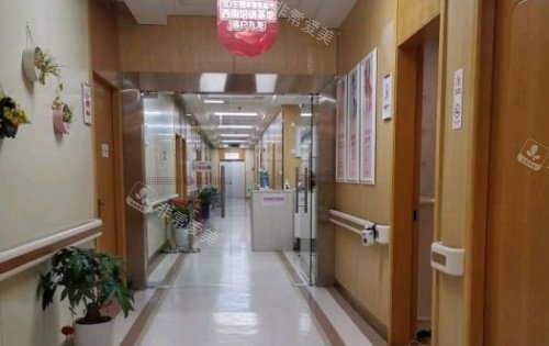 成都九龙私密整形走廊示意图 成都九龙私密整形走廊示意图