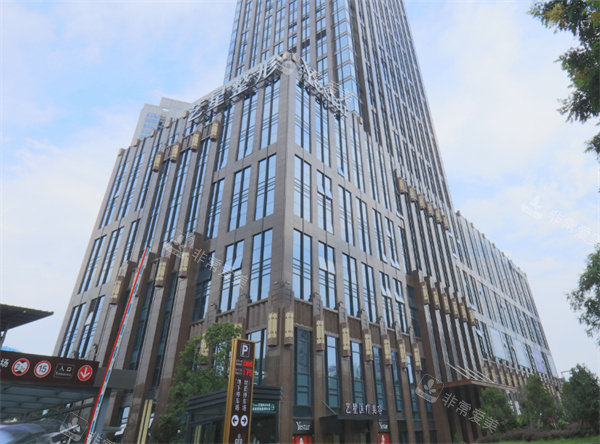 武汉艺星医疗美容大楼外观