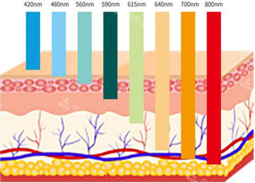 龙岩岩匠整形是正规的...