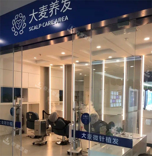 沈阳大麦植发养发区