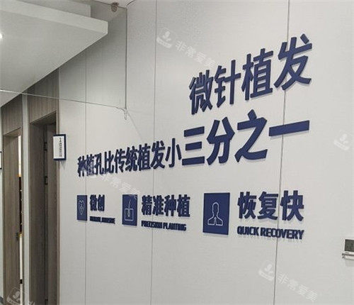 厦门大麦植发宣传墙