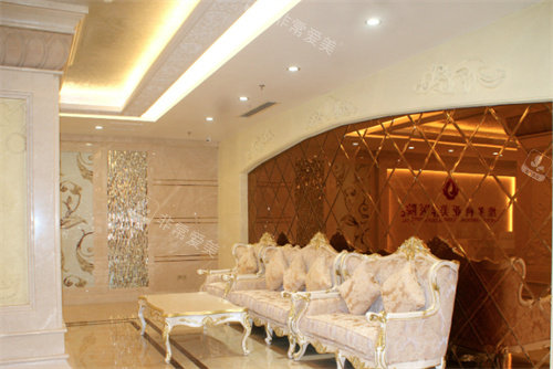 三亚维多利亚医疗美容医院沙发