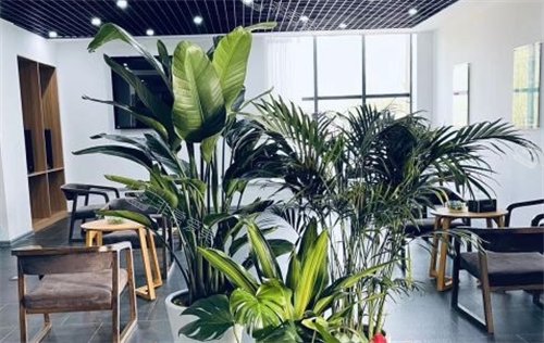 沈阳笙泽植发休息区