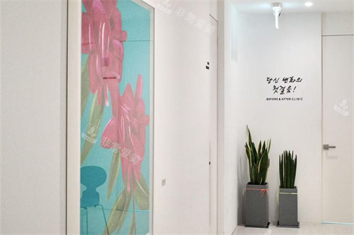 韩国清潭洞爱豆私藏皮肤科bna皮肤科医生推荐：5位明星院长专长+抗衰/敏感肌/轮廓项目匹配