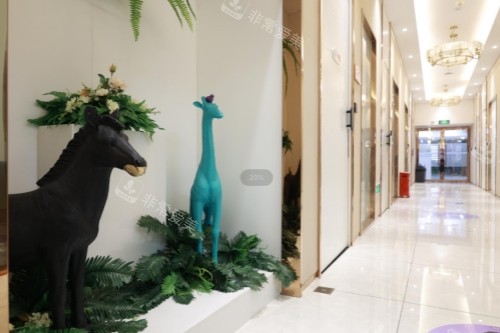 石家庄美天医疗美容医院走廊