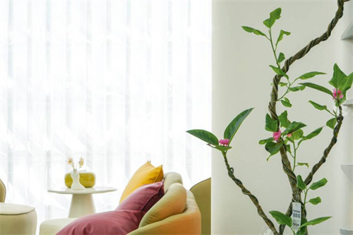 济南双华医疗美容休息区环境