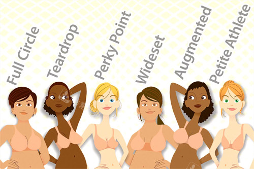 不同的胸型 不同的胸型