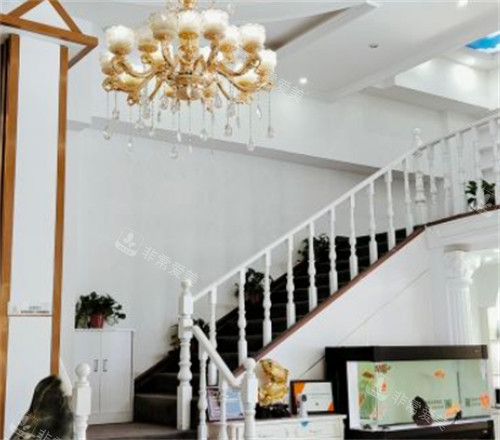 呼和浩特華美整形走廊圖片