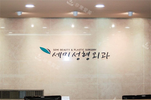 韩国世美整形医院LOGO 韩国世美整形医院LOGO