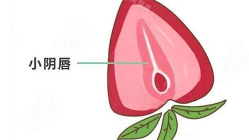 南京新秀私密修复专科医院怎么样？鼓楼区古平岗18号正规吗？医生技术与收费一次讲清楚!