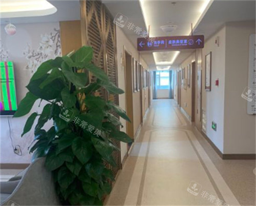 日照壹美天成整形走廊