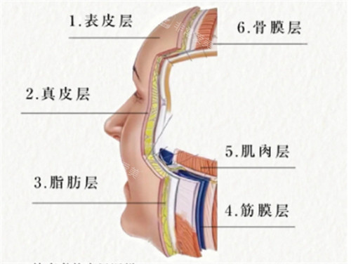 分层抗衰.jpg 分层抗衰.jpg