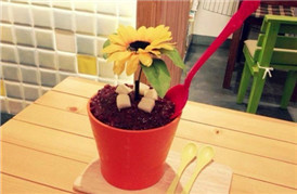能吃的“花盆”——韩国banana tree蛋糕店
