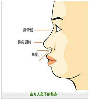 韩国隆鼻专家哪个好?