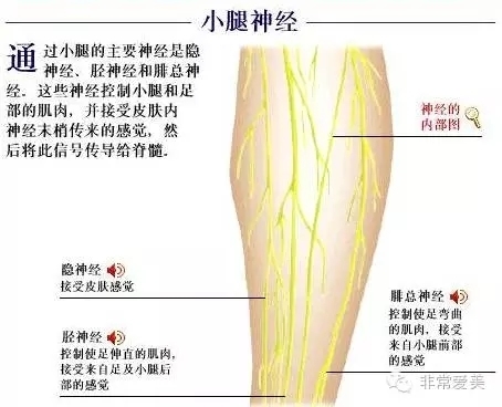 做吸脂手术应该注意哪些事项？