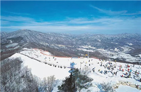 新年假期躲被窝，不如去韩国滑雪High个够！