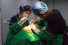韩国BIO和cocoline医院做假体隆鼻哪家效果更自然？
