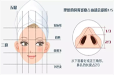 韩国CONOPI高诺鼻&Cooki整形医院，各不相同的隆鼻手术风格