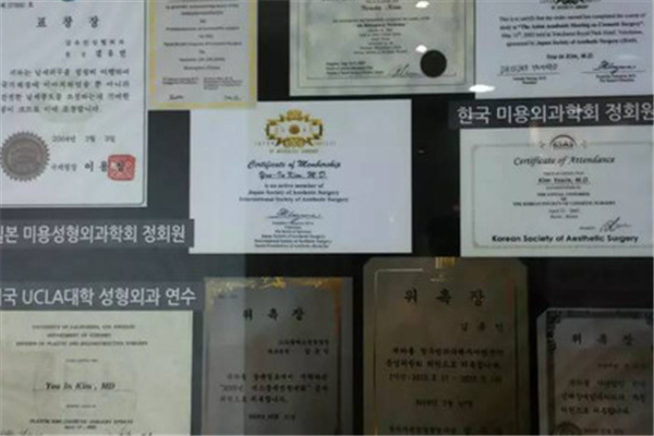 韩国SR整形外科获奖证书