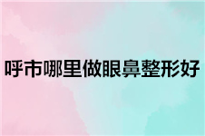 呼市哪里做眼鼻整形好？為您推薦這幾家人氣醫(yī)院！