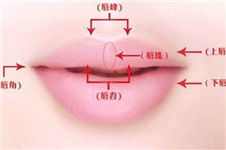 鄭州哪里能做唇部整形?厚唇改薄M唇唇裂修復(fù)來(lái)這里!