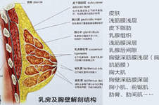 青岛隆胸手术哪家医院好?假体隆胸大概需要多少钱?