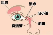 安慶迎江嘉美整形怎么樣 我去后感觸深的是眼整形和眼修復