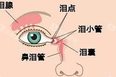 上海韩啸做整形正规吗 整友其实很推荐韩啸医疗做整形