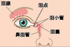 刘志刚的整形医师团队怎么样？个顶个都是整形技术强的医生！