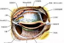 松原割双眼皮医院排名:富华整形/至美整形/伊美整形做眼睛有名!