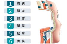 隋冰医生拉皮多少钱?隋冰医生拉皮价格2.98W起,lvs面部轮廓年轻化7.98W起