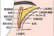 大庆希美尚颜医疗美容怎么样正规吗?做眼鼻整形和注射微整形排名前三名!