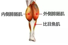 广州小腿神经阻断医院哪里好？广州吸脂瘦小腿多少钱