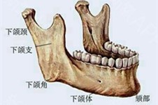 廣州下頜角手術(shù)V臉手術(shù)哪家醫(yī)院能做?做下頜角要多少錢?