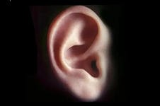 耳朵整形手术一只大概需要多少钱？耳朵整形危险吗？