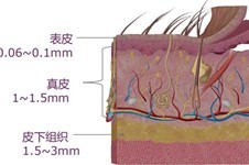 溶脂瘦臉多少錢一針,效果保持多久,臉上溶脂安全嗎?