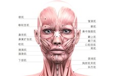 北京做拉皮手术好的医院名单公布!内附拉皮手术医生名单!