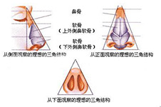 缩鼻翼手术风险大吗?为什么说缩小鼻头鼻翼千万别做?