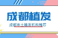 四川本土植发医院哪家医技术好?恒博/首瑞/艺美汇都不错!