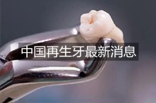 中国再生牙齿最新消息:再生牙2022年左右进入临床是真的吗?