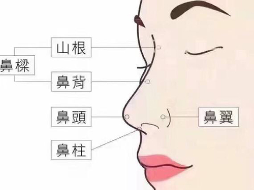 综合隆鼻包括哪些项目?南京华美做鼻综合价格,效果如何?