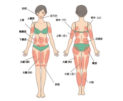 廈門全身抽脂大概要多少錢?詳解吸脂各部位價(jià)格表!