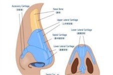 鄭州壹加壹整形隆鼻好嗎？王洛生隆鼻有名氣而且口碑好！