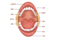 义乌牙科医院哪家好，分享五家便宜又好的正规牙科医院！